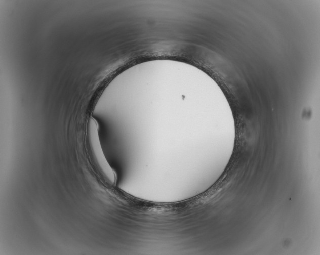 X0000097300164200803141540