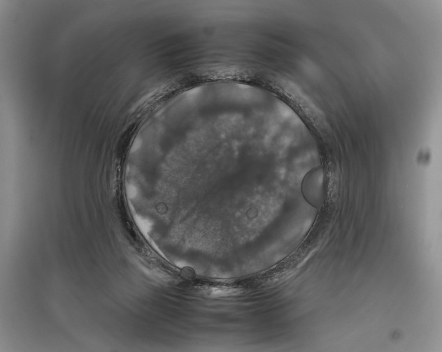 X0000097300165200803141540