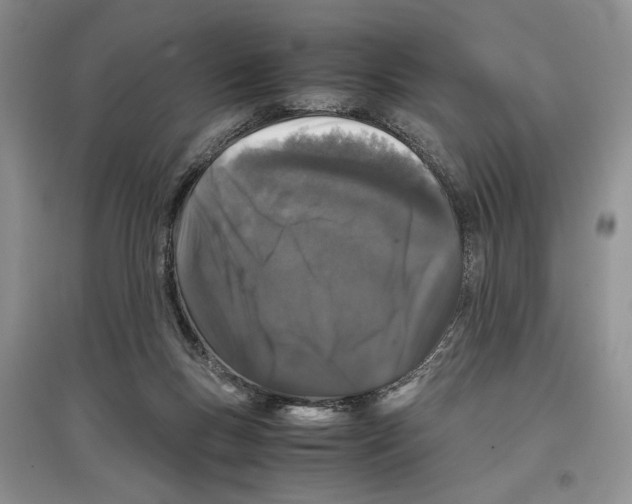 X0000097300167200803141540