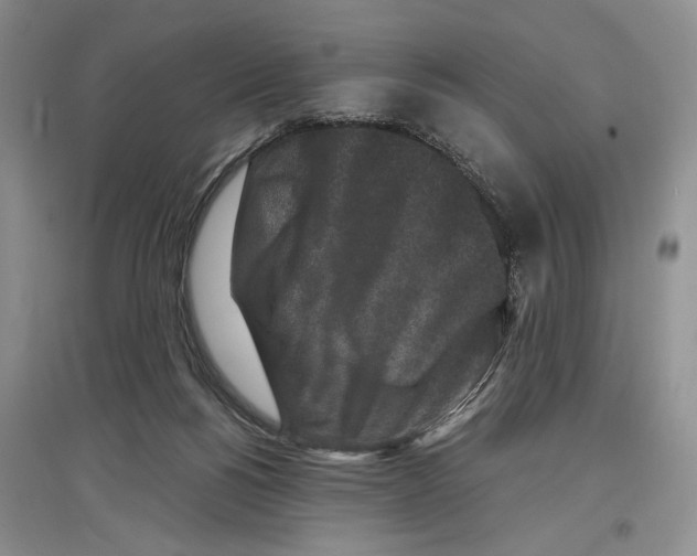 X0000097300168200803141540
