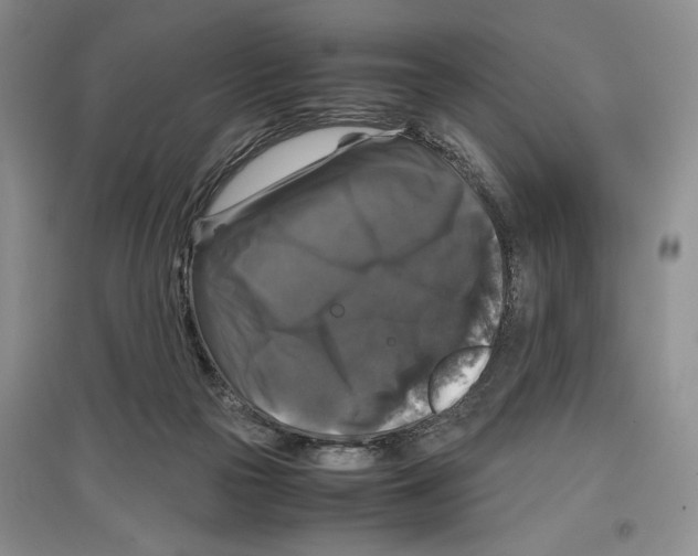 X0000097300169200803141540