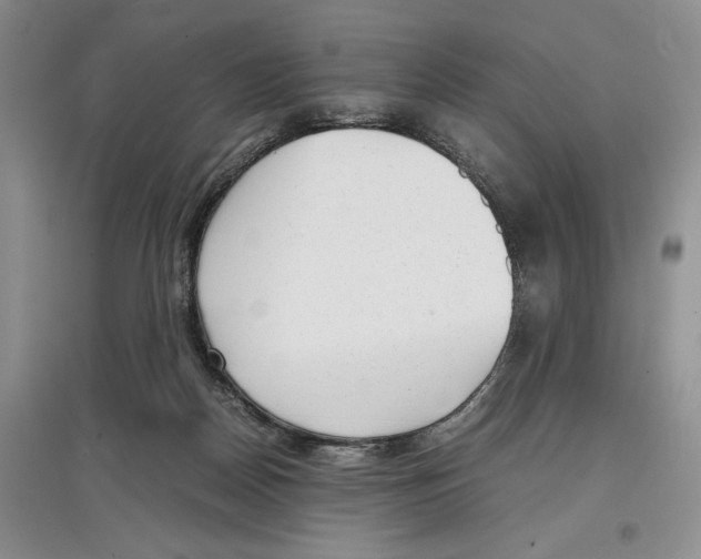 X0000097300170200803141540