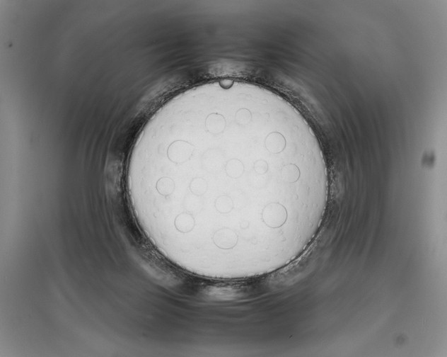 X0000097300171200803141540