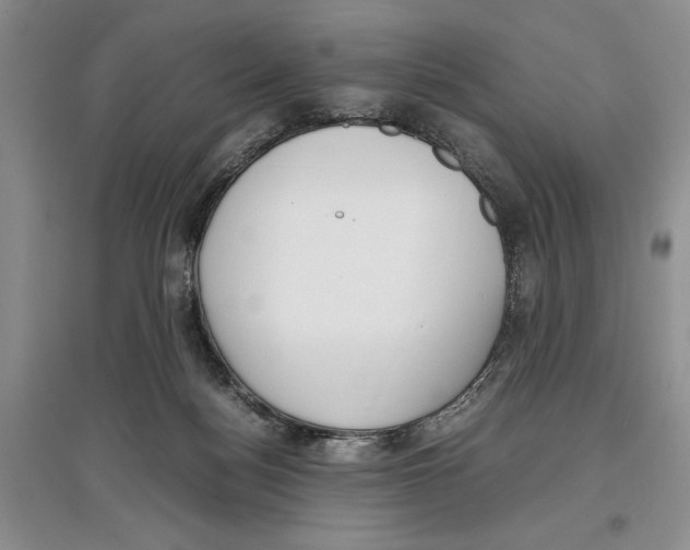X0000097300172200803141540