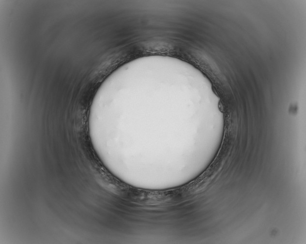 X0000097300173200803141540