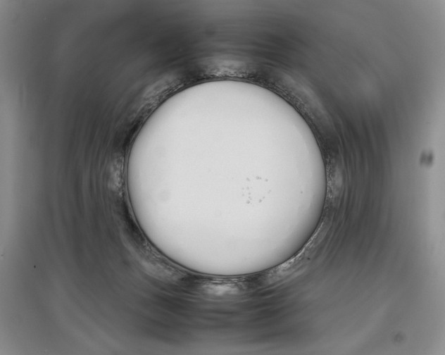 X0000097300175200803141540