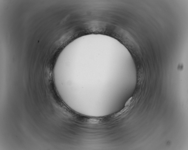 X0000097300176200803141540