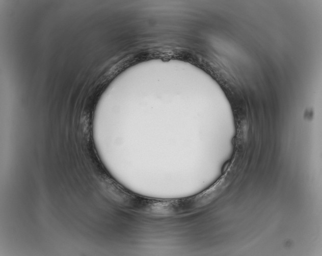X0000097300178200803141540
