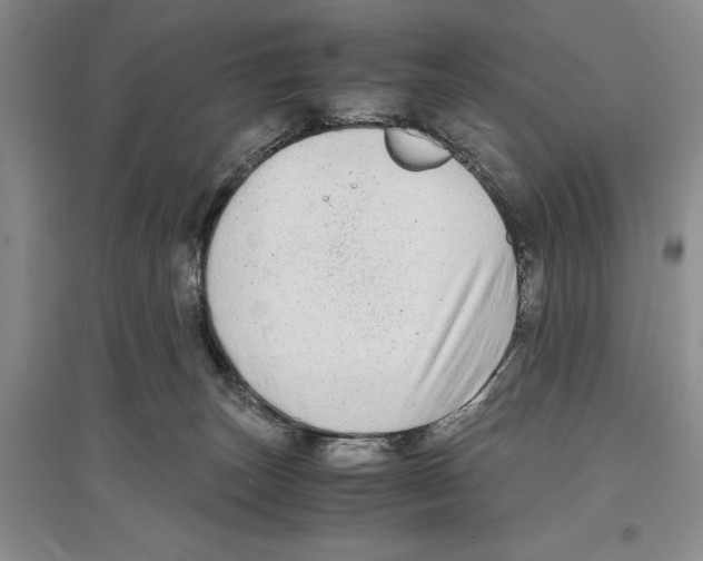 X0000097300179200803141540