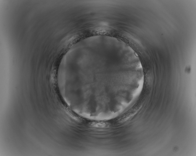 X0000097300181200803141540