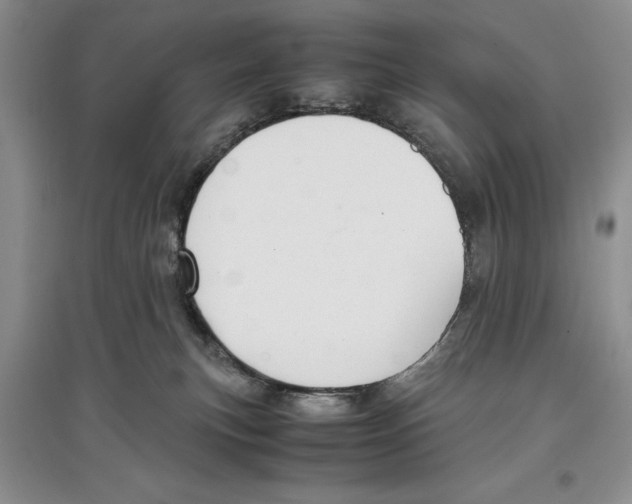 X0000097300183200803141540