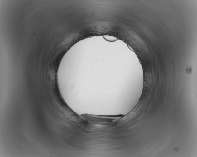 X0000097300184200803141540