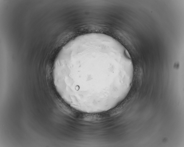 X0000097300185200803141540