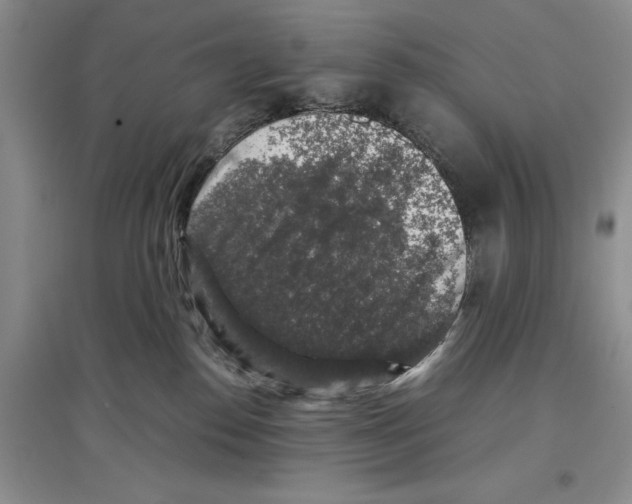 X0000097300186200803141540