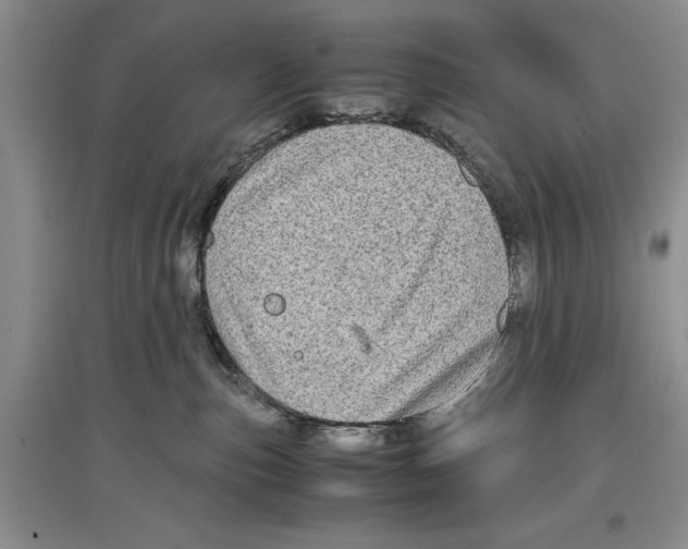 X0000097300187200803141540