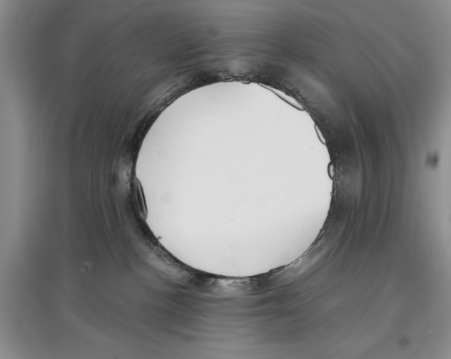 X0000097300188200803141540