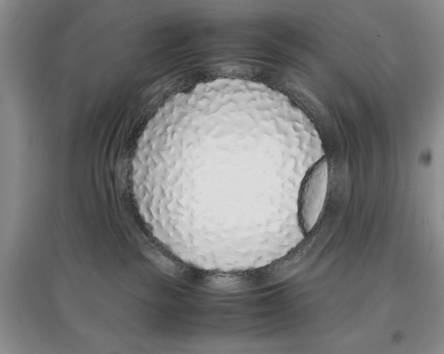 X0000097300189200803141540