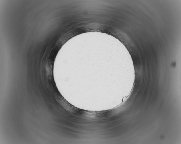 X0000097300190200803141540