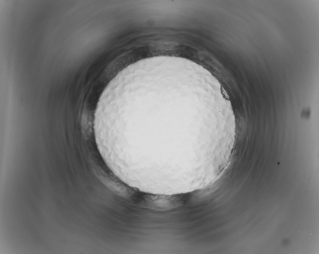X0000097300191200803141540
