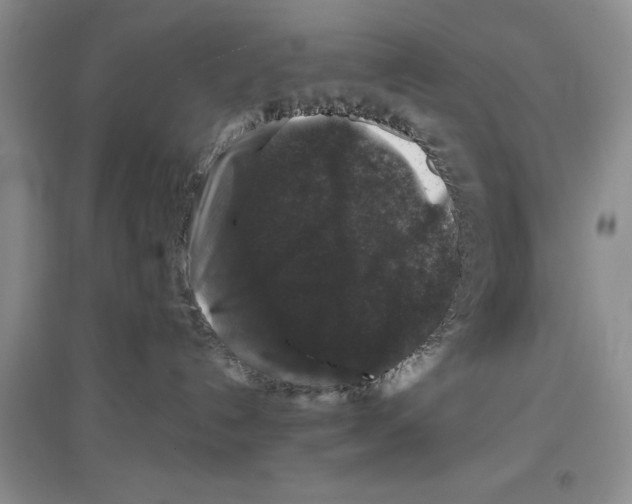 X0000097300192200803141540