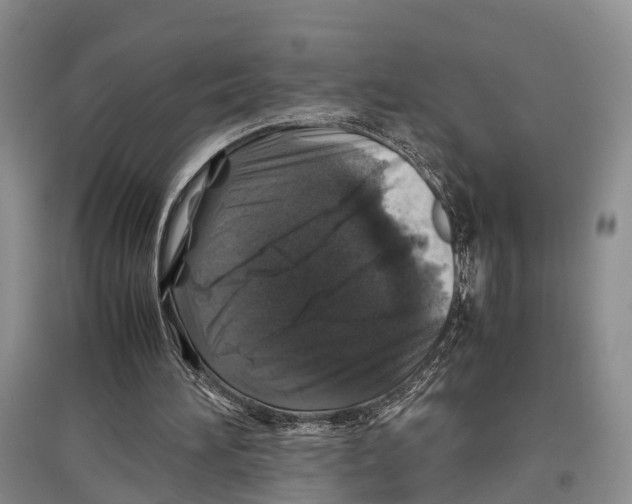 X0000097300196200803141540