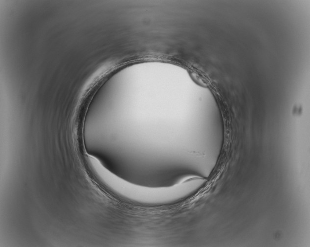 X0000097300197200803141540