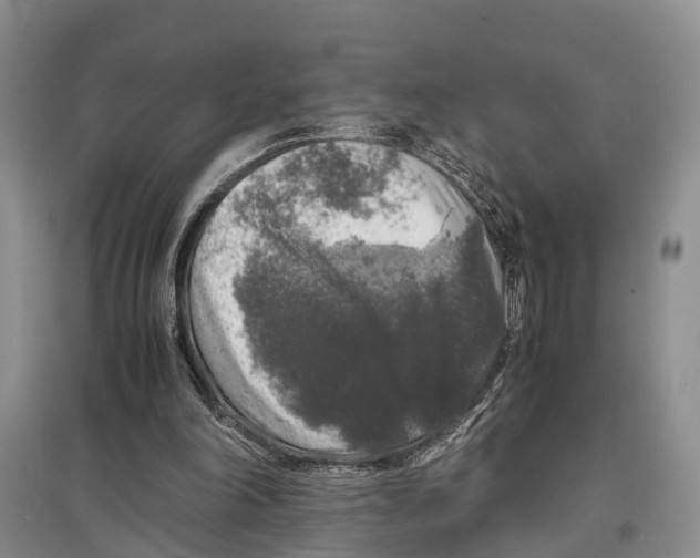 X0000097300198200803141540