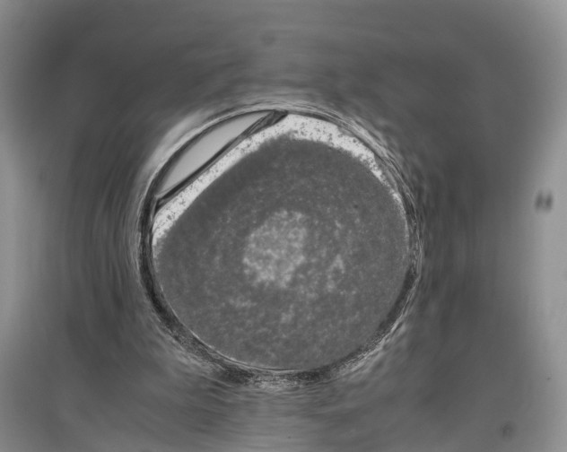 X0000097300199200803141540