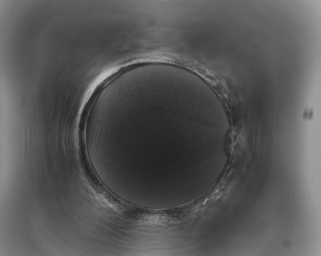 X0000097300200200803141540