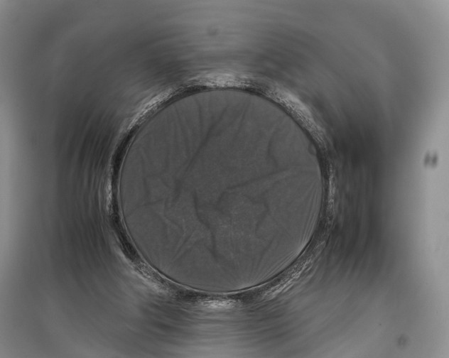 X0000097300202200803141540