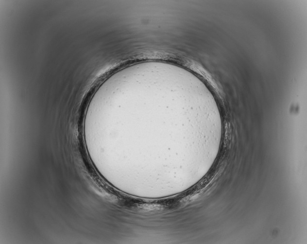 X0000097300203200803141540