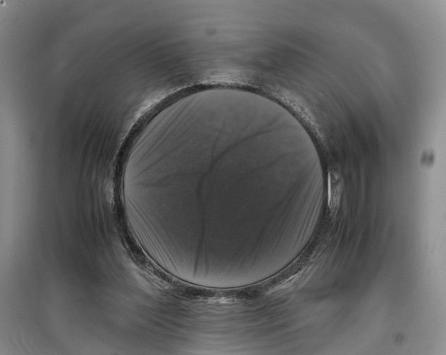 X0000097300204200803141540