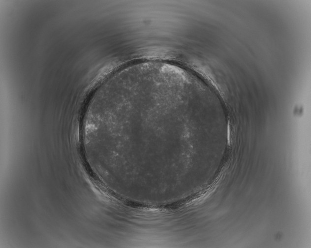 X0000097300205200803141540