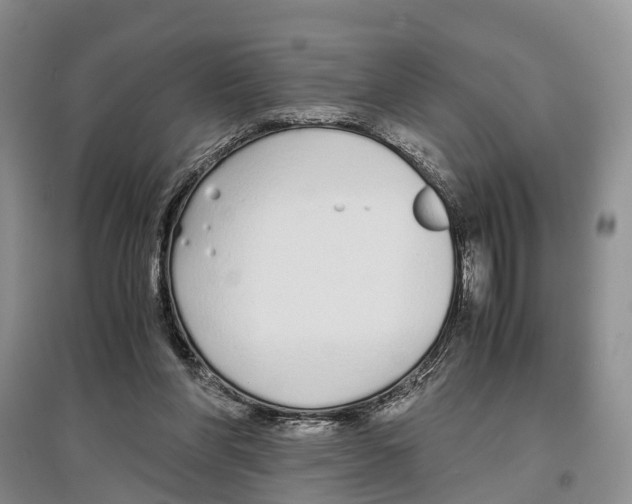 X0000097300206200803141540