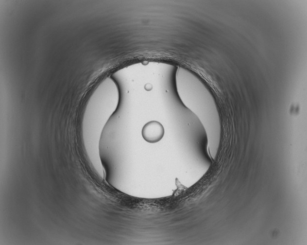 X0000097300207200803141540
