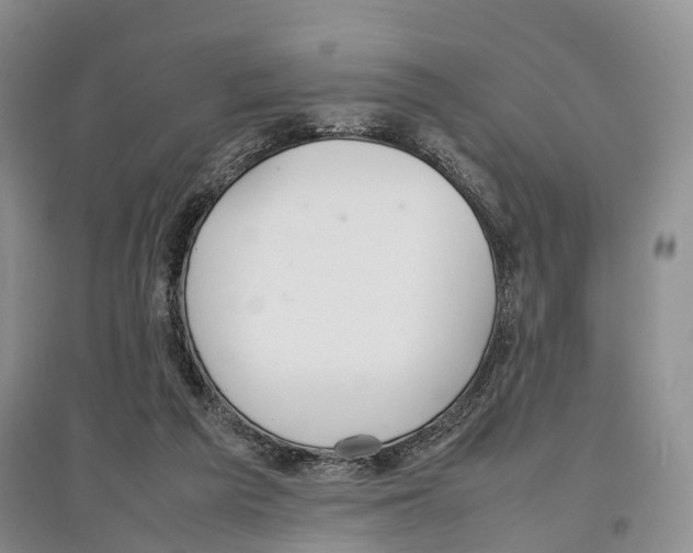 X0000097300209200803141540