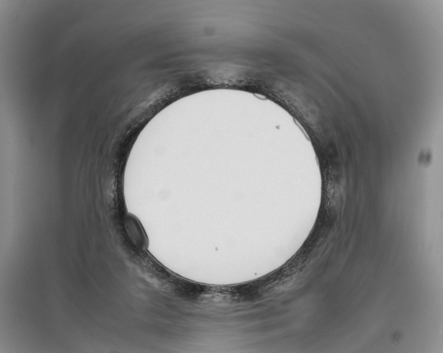X0000097300211200803141540