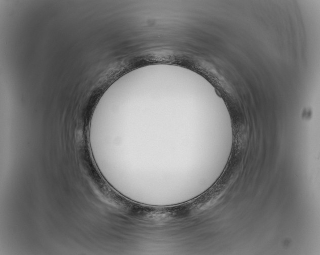 X0000097300213200803141540