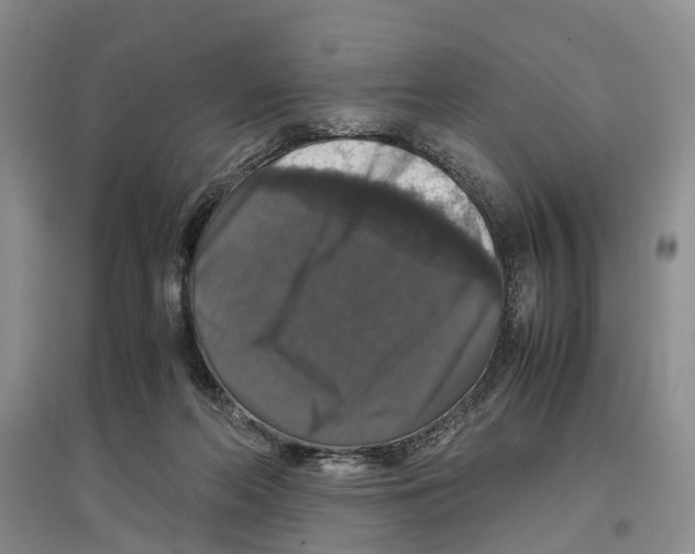 X0000097300214200803141540