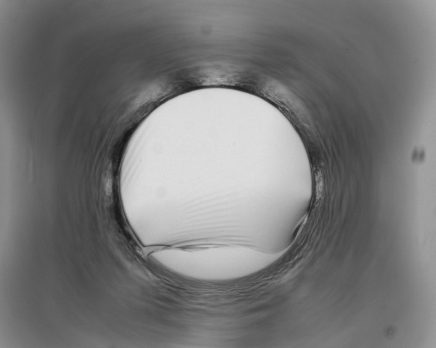 X0000097300215200803141539