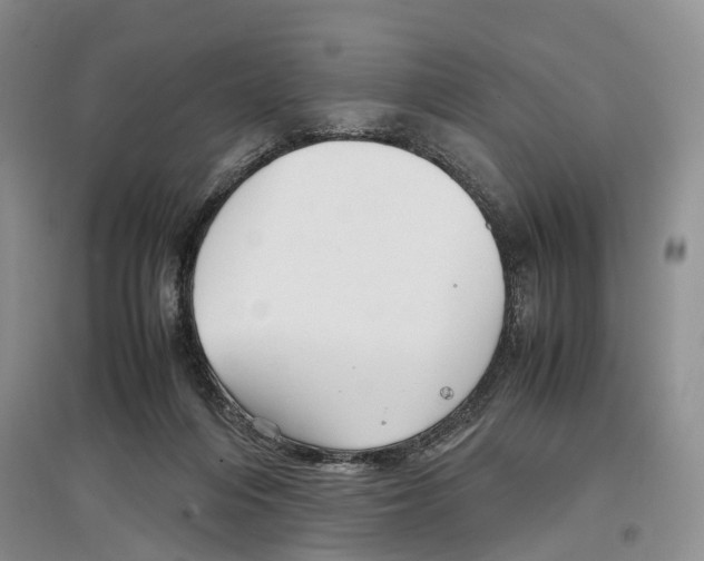 X0000097300216200803141539