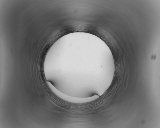 X0000097300217200803141539