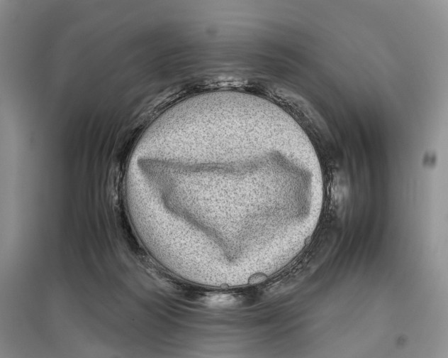 X0000097300218200803141539