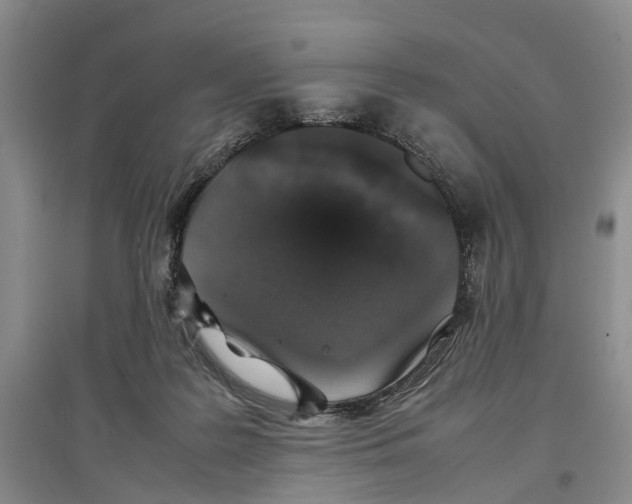 X0000097300219200803141539