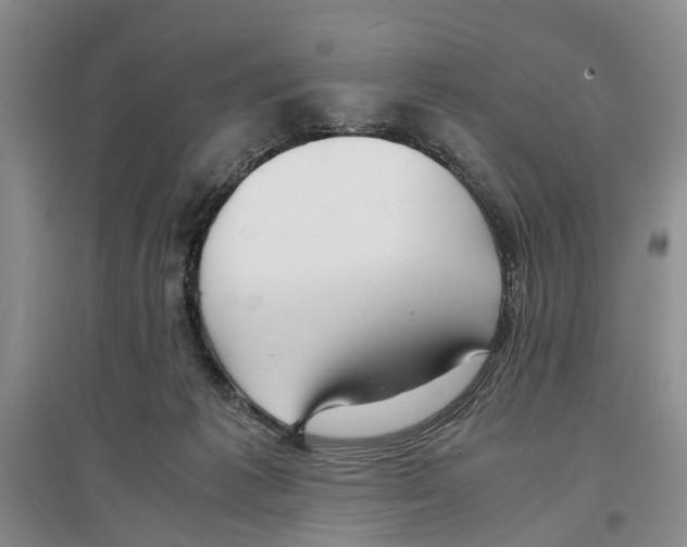 X0000097300221200803141539