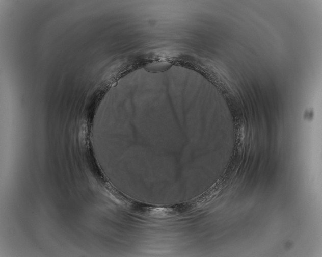 X0000097300222200803141539