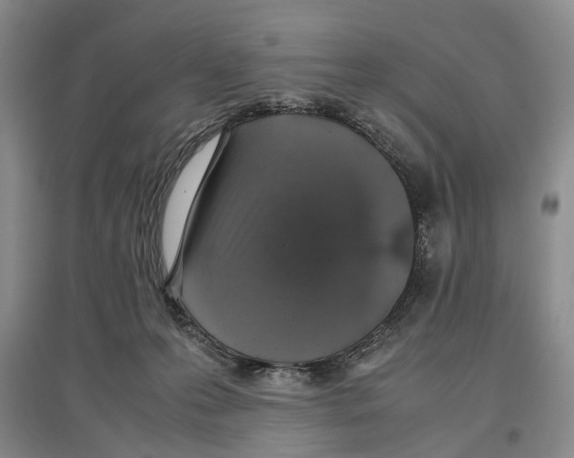 X0000097300223200803141539