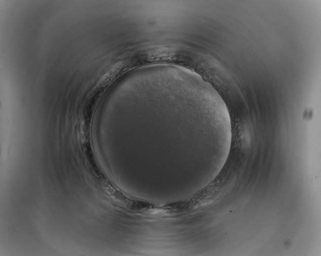 X0000097300224200803141539