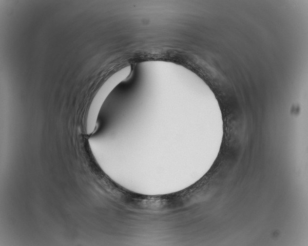 X0000097300225200803141539