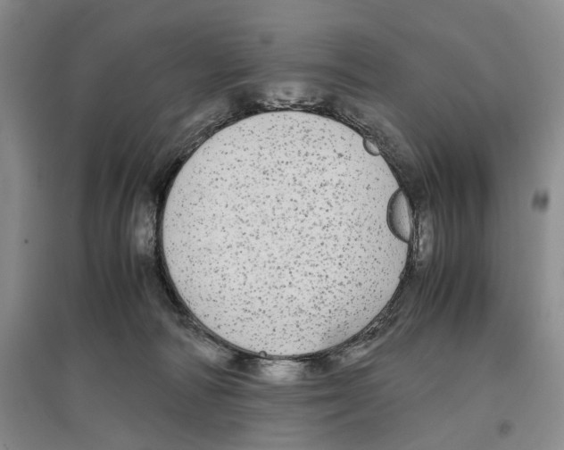 X0000097300226200803141539